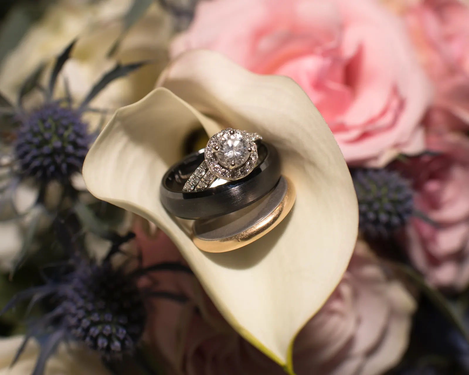 Mr & Mrs Ballard, photo 3